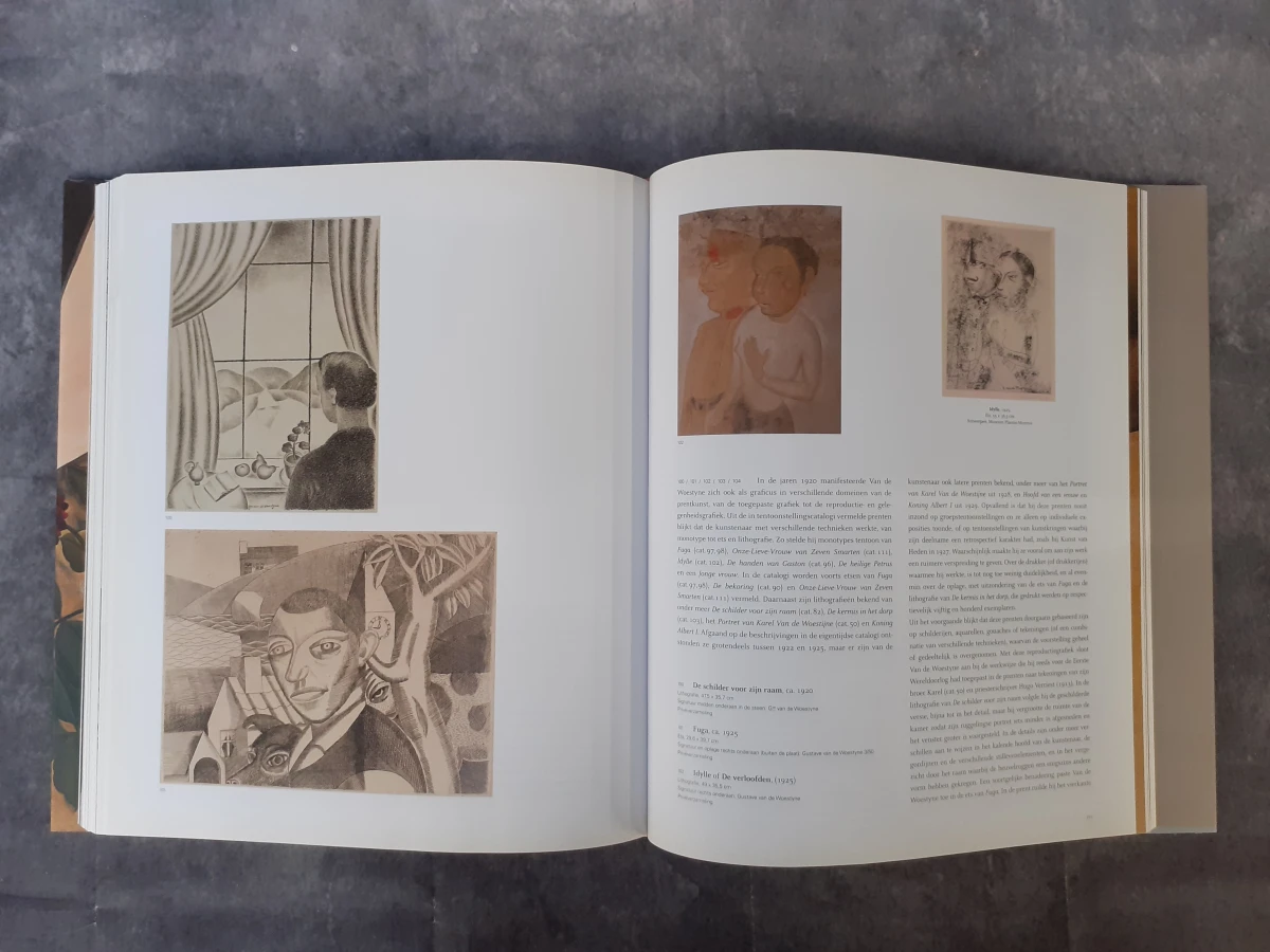 Boek: Gustave Van de Woestyne - foto 6