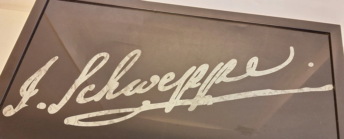 Schweppes reclamebord met stekker - foto 7