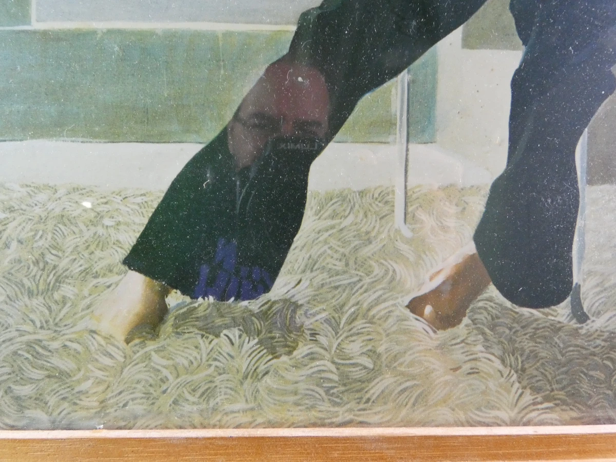 Reproductie ''Mr and Mrs Clark and Percy (1970–1971)'' - David Hockney - foto 6