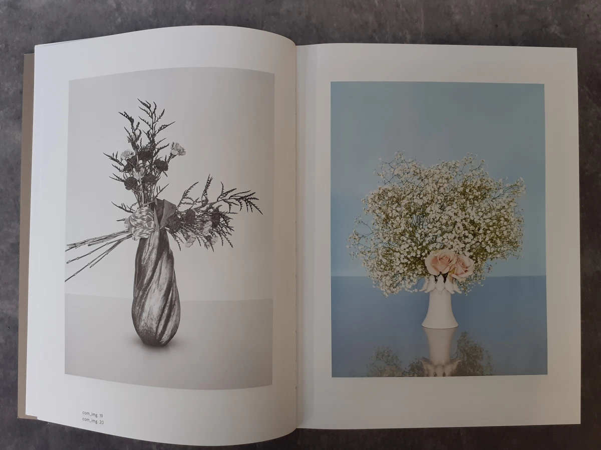 Boek: Frederik Vercruysse - Index 2006–2016 - foto 3