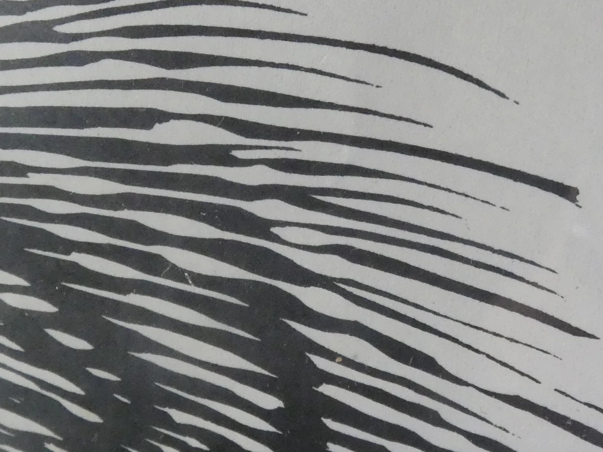 Ingelijste zwart-wit grafische prent – sprookjesachtig tafereel – 5/7 - foto 5