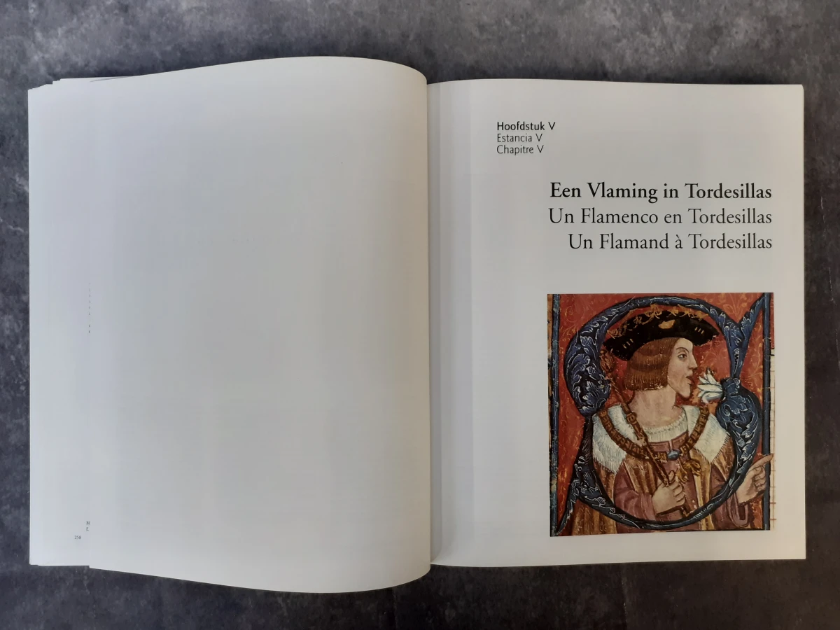 Boek: Vlaanderen en Castilla y León - Op de drempel van Europa - foto 5