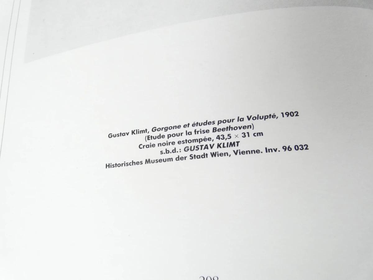 Boek over Weense kunst 1880-1938, L'Apocalypse Joyeuse - foto 9