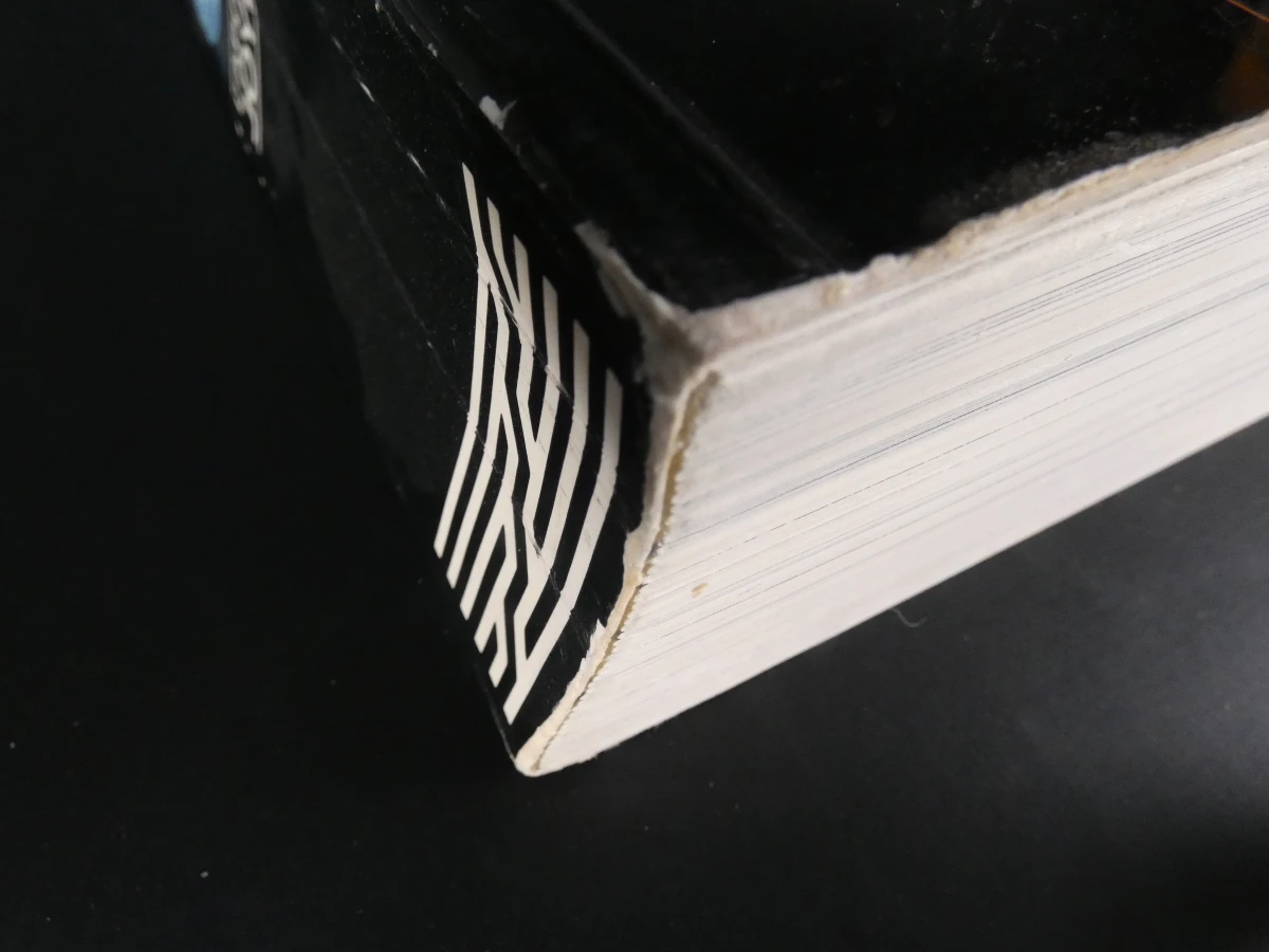 Boek over Weense kunst 1880-1938, L'Apocalypse Joyeuse - foto 11