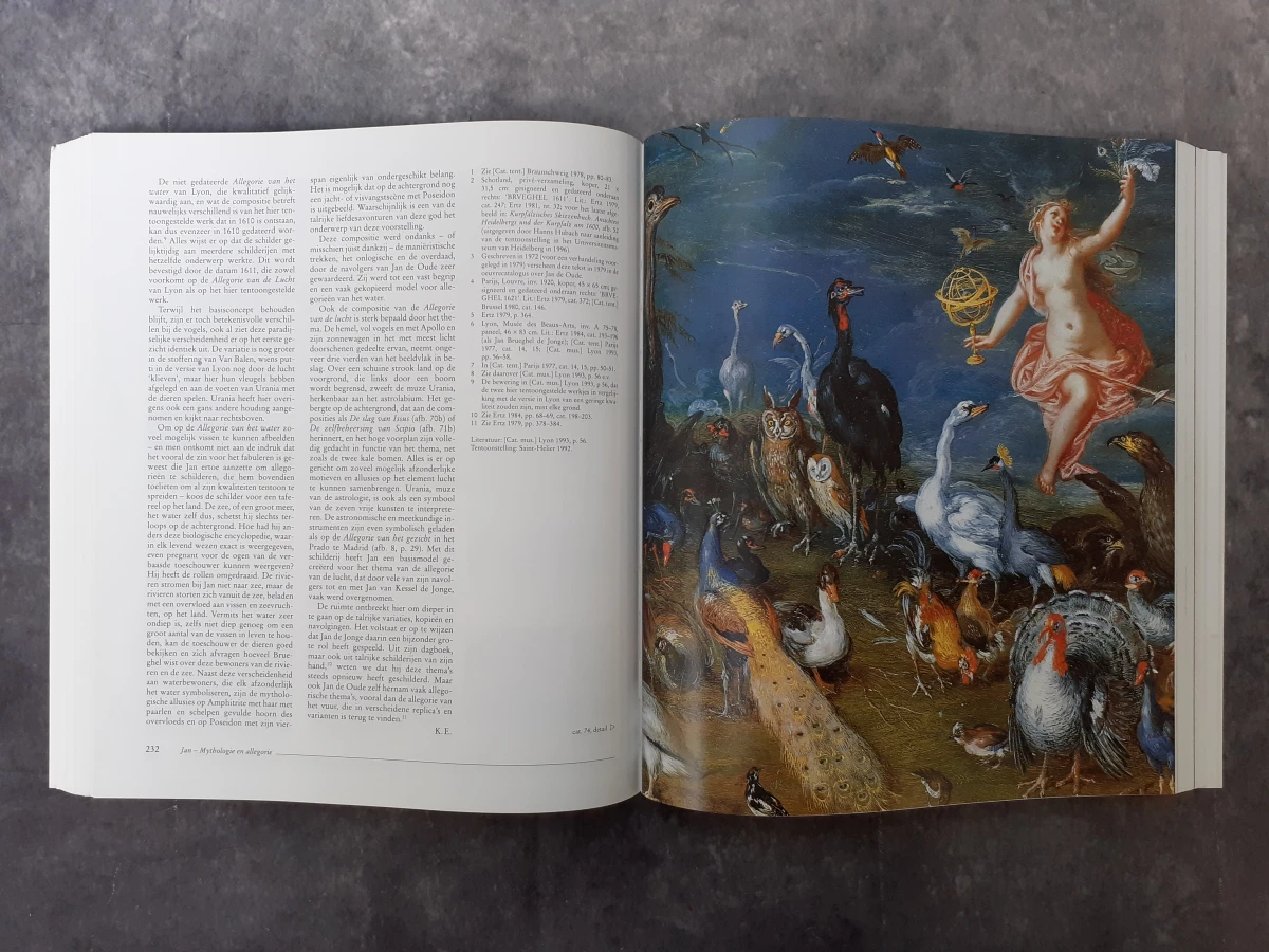 Boek: Pieter Breughel de Jonge (1564-1938) - Jan Brueghel de Oude (1568-1625): Een Vlaamse schildersfamilie rond 1600 - foto 5