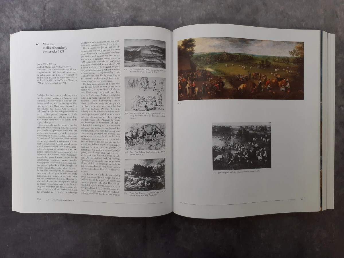 Boek: Pieter Breughel de Jonge (1564-1938) - Jan Brueghel de Oude (1568-1625): Een Vlaamse schildersfamilie rond 1600 - foto 4