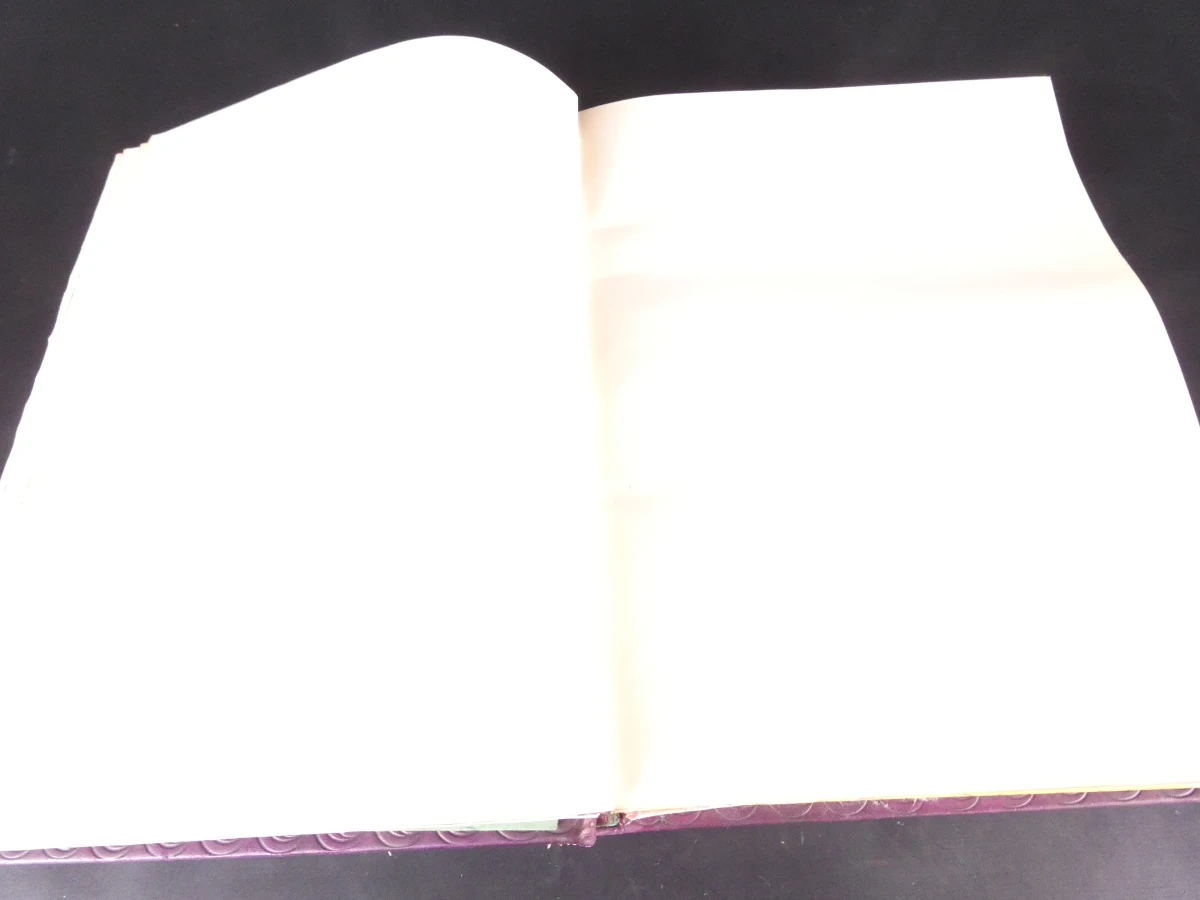 Oud gasten- / herdenkingsboek 'Livre d'Or' 1953 - foto 5