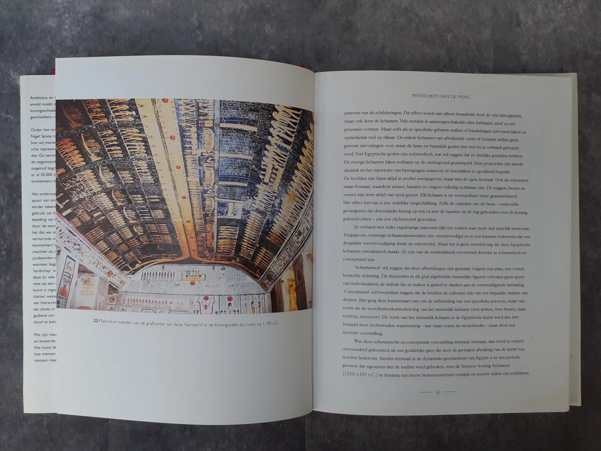 Boek: Hoe kunst de wereld maakt - foto 3
