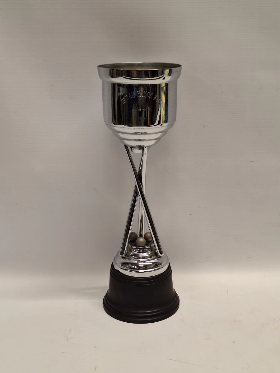 Complete set biljartbenodigdheden met keu, ballen, trofee en koffer - foto 5