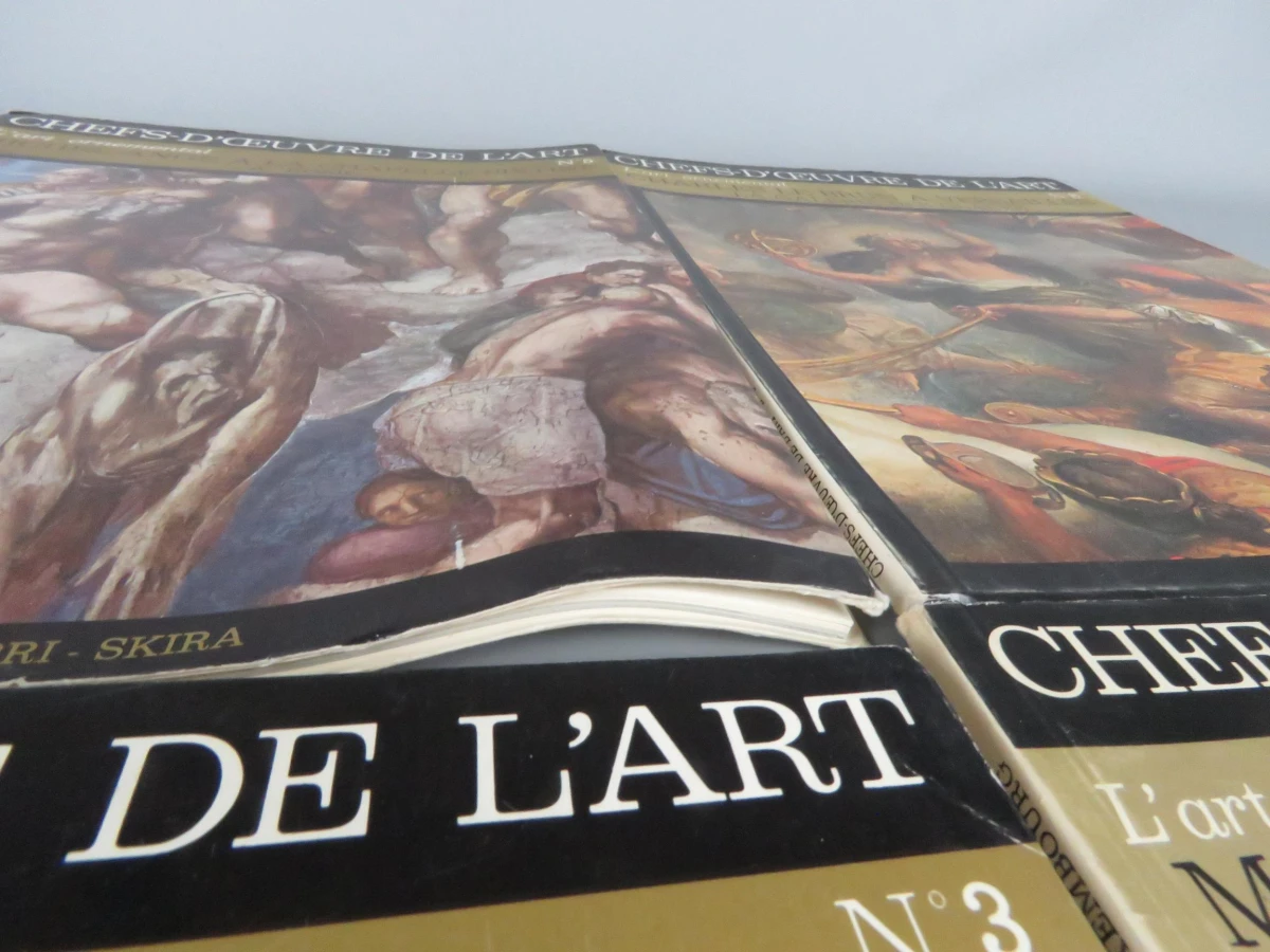 4 kunstboeken Frans - foto 12
