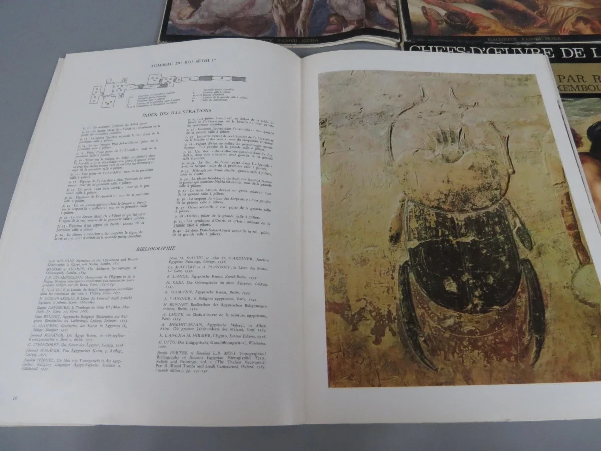 4 kunstboeken Frans - foto 9