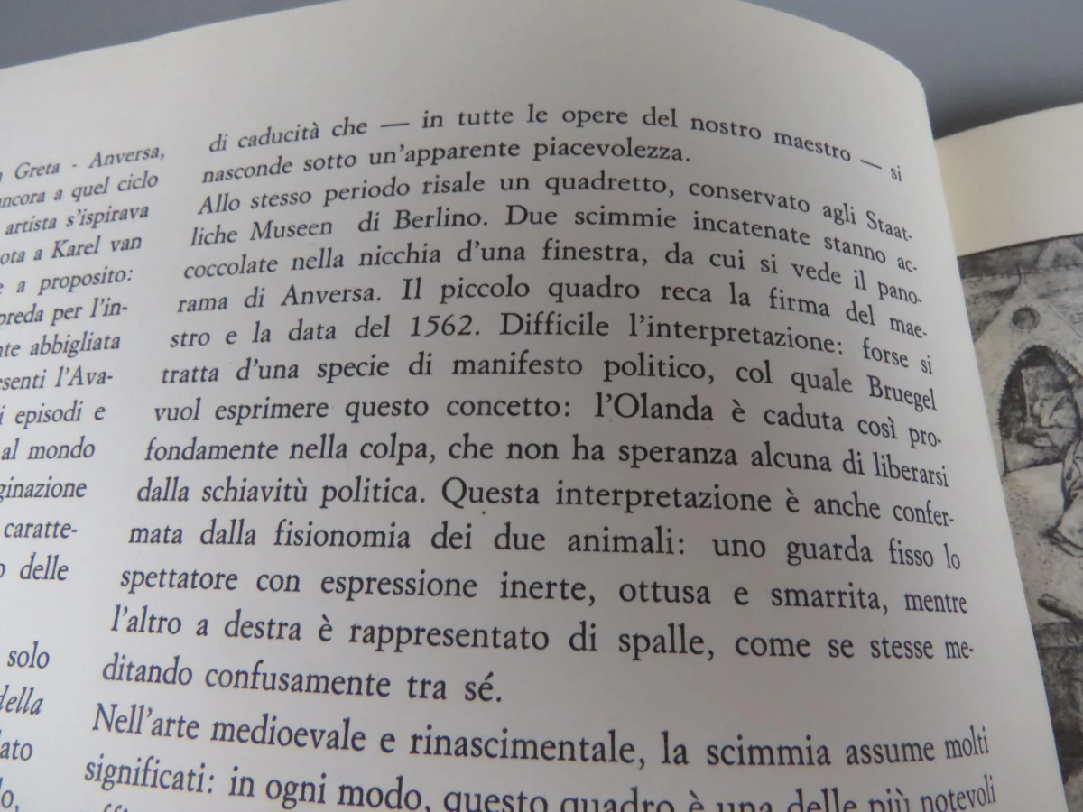 Kunstboek Italiaans - foto 6