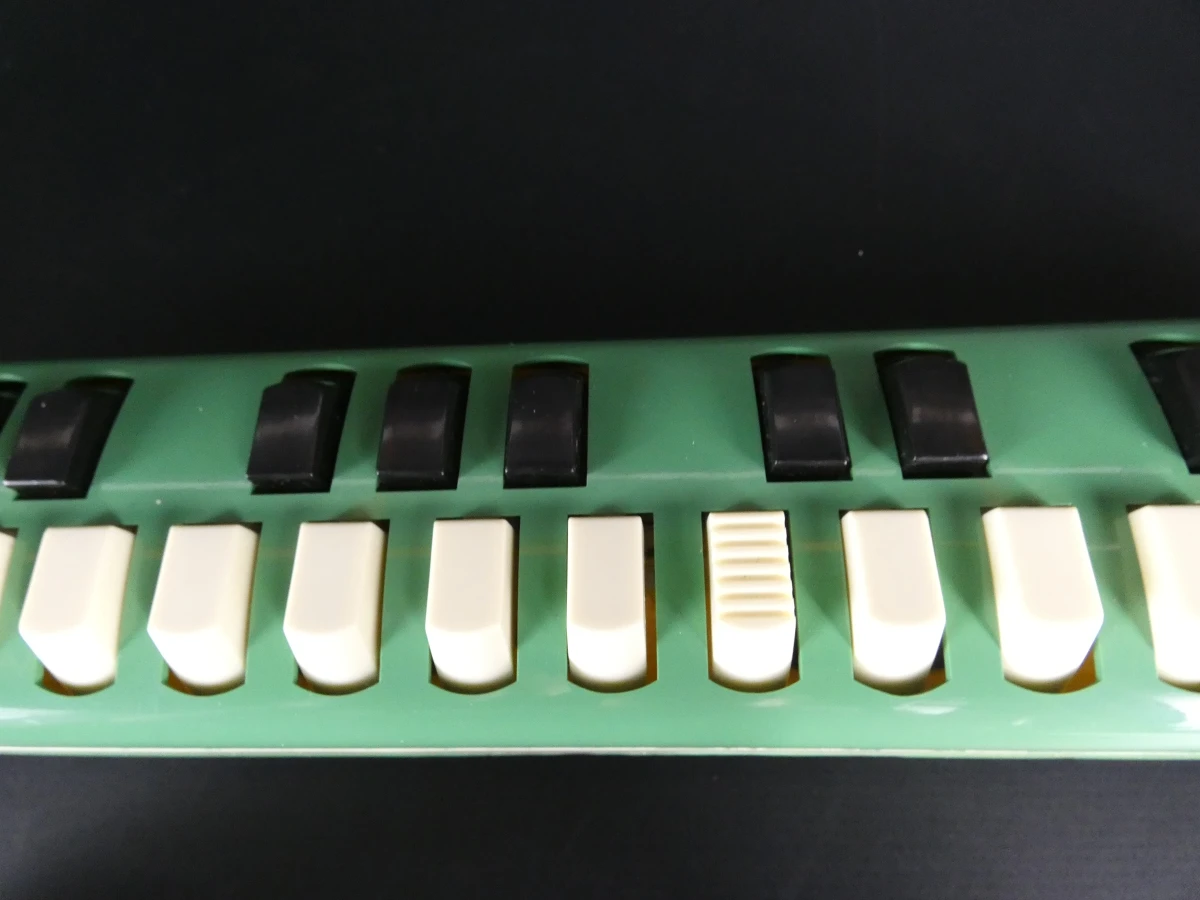 Hohner Melodica Soprano met hoes en handleiding - foto 5