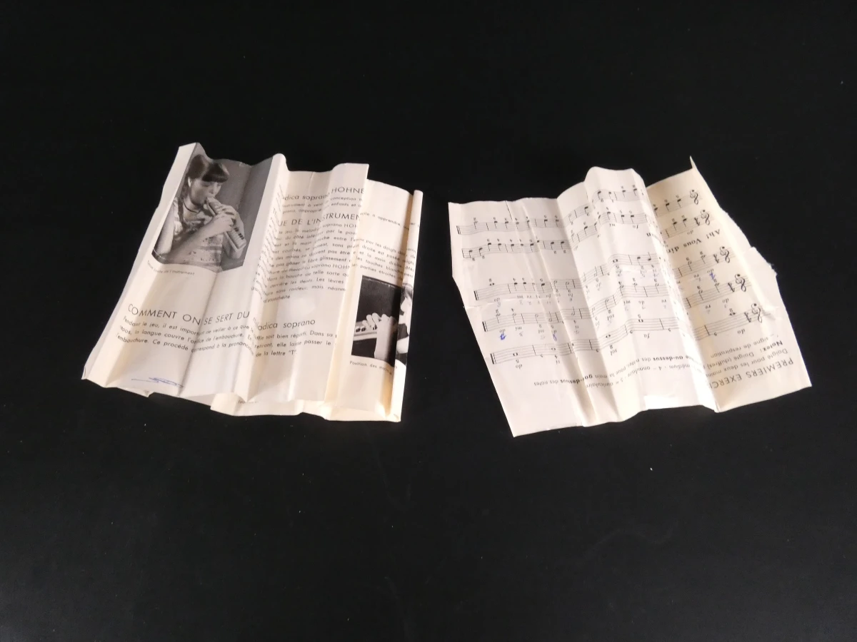 Hohner Melodica Soprano met hoes en handleiding - foto 18