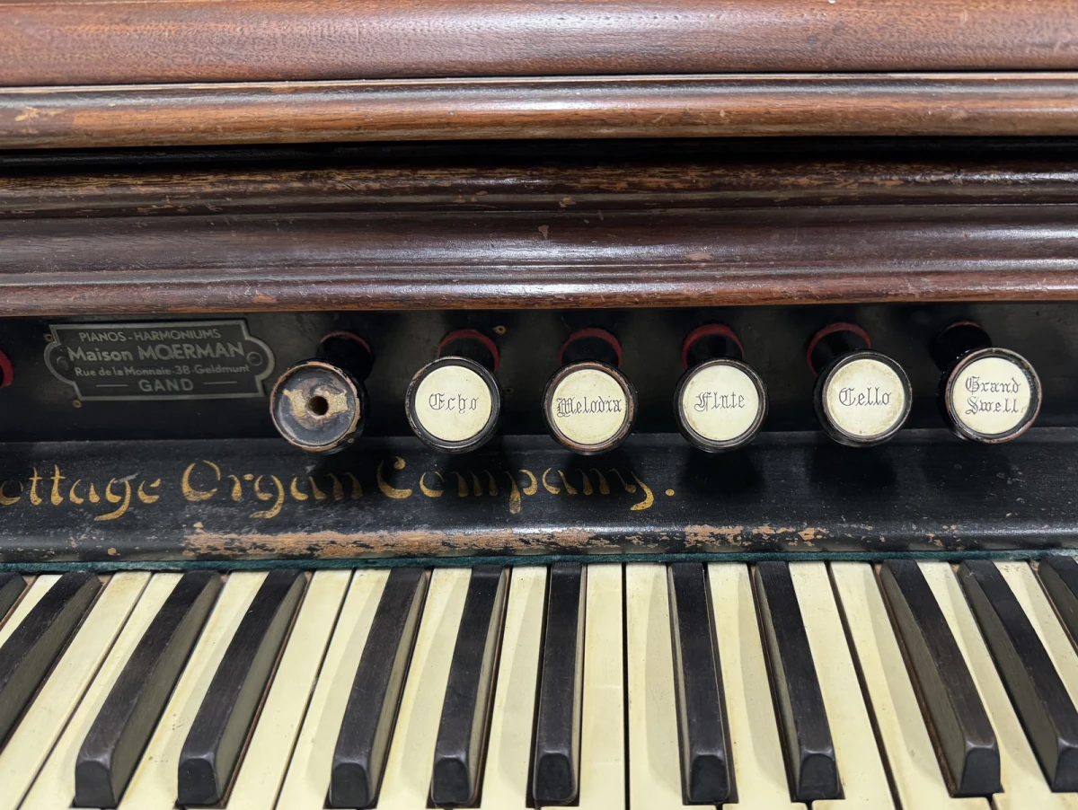 Antiek harmonium – rijk gedecoreerd - foto 5