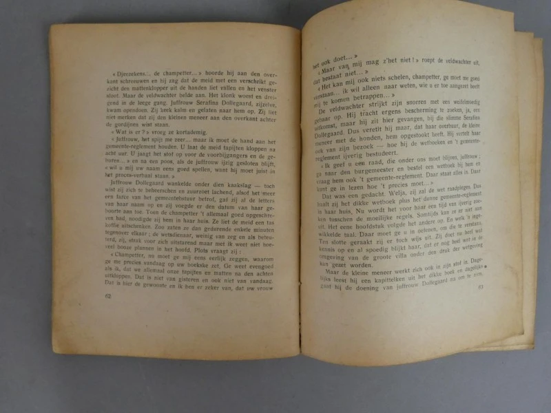 Boek Kleingoed door Ceel Dirickx - foto 4