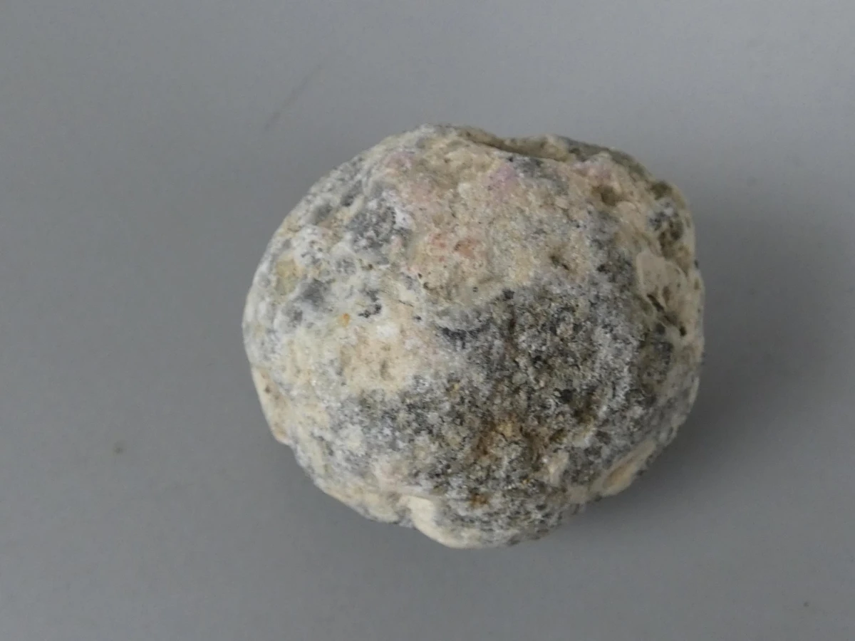 Goudkleurig Konijn in Kristalgeode - foto 4