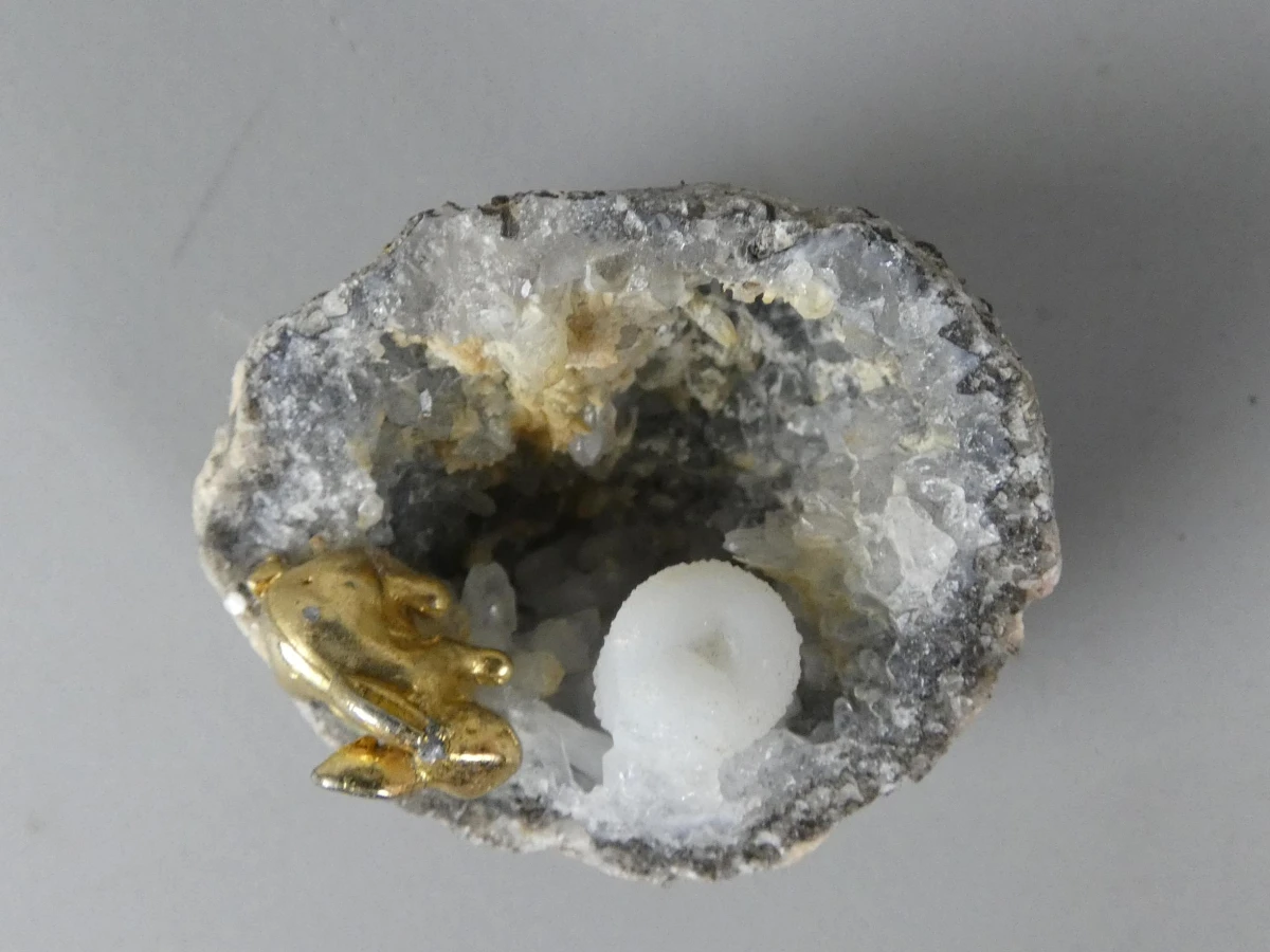 Goudkleurig Konijn in Kristalgeode - foto 3