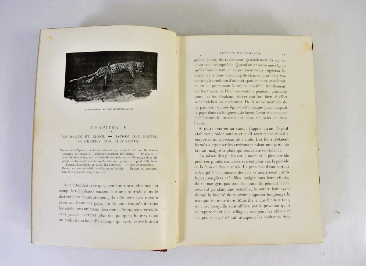 Twee antieke jachtboeken van Édouard Foà over Centraal-Afrika - foto 8