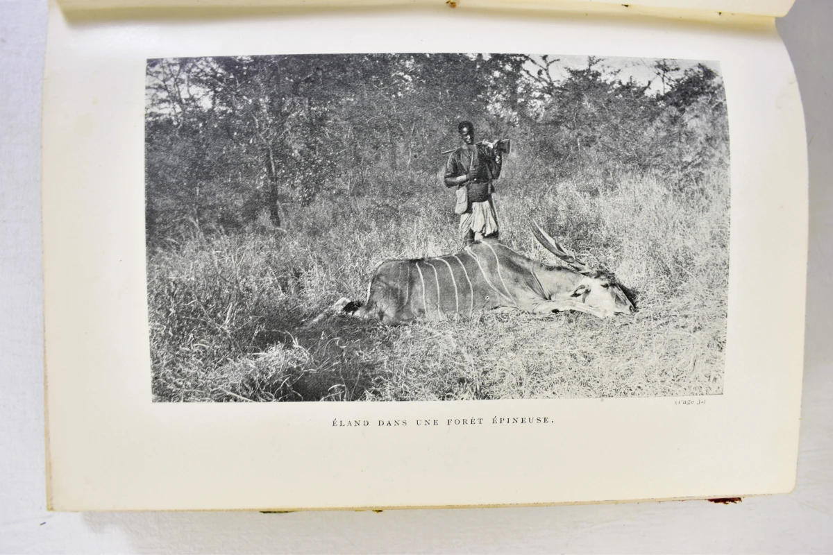 Twee antieke jachtboeken van Édouard Foà over Centraal-Afrika - foto 7