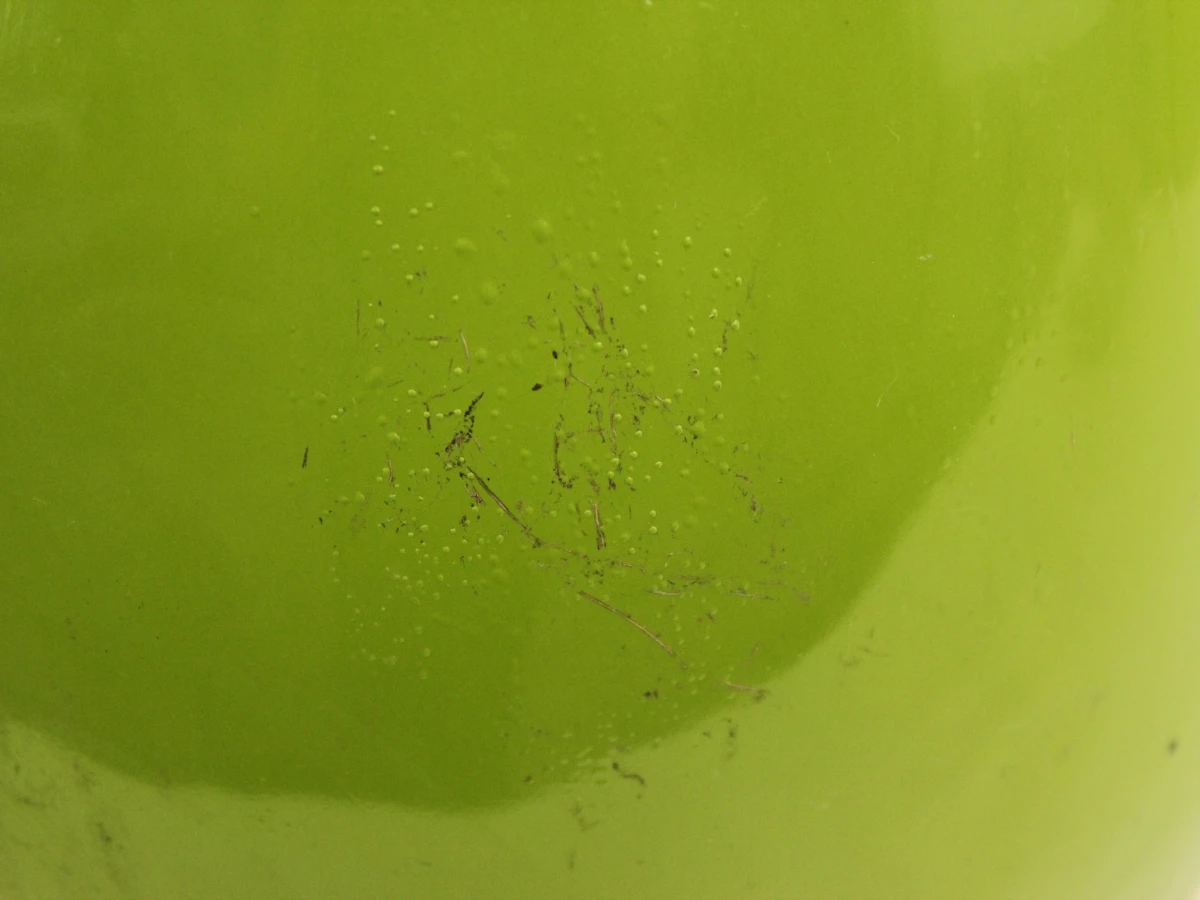 Xl Groene slak uit hars - foto 4