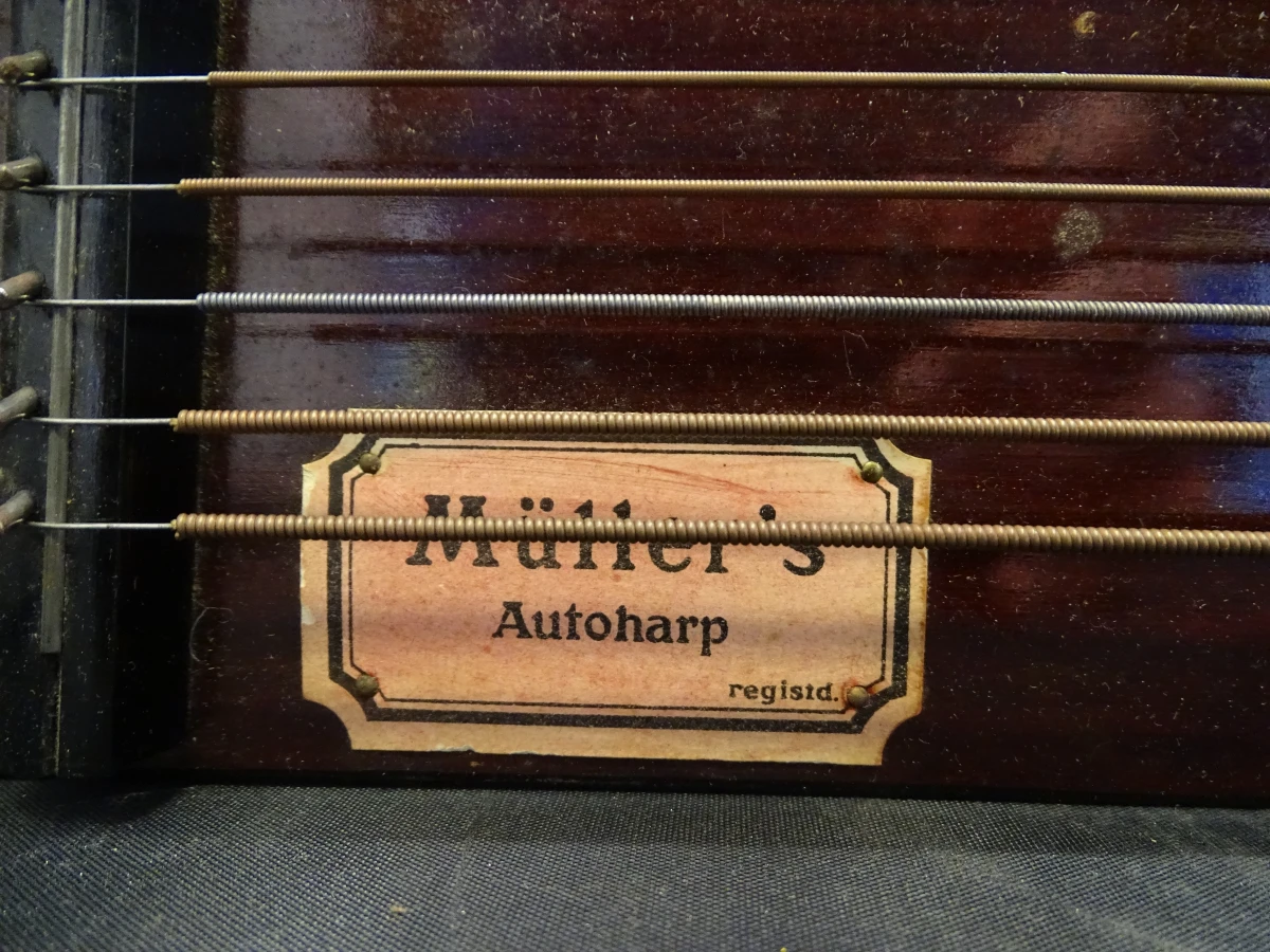 Müller's Autoharp muziekinstrument - foto 22