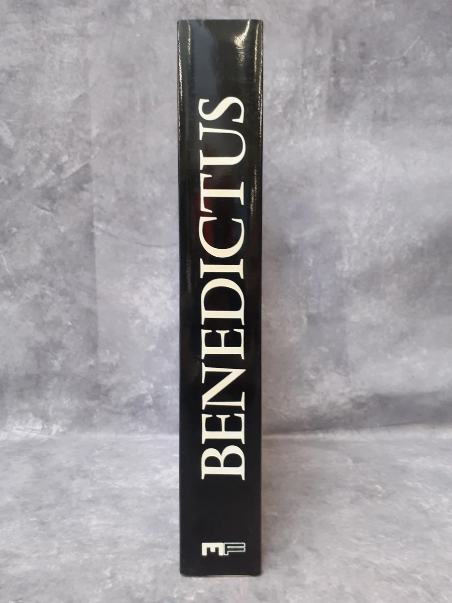 Boek: Benedictus: Pater Europae - foto 2