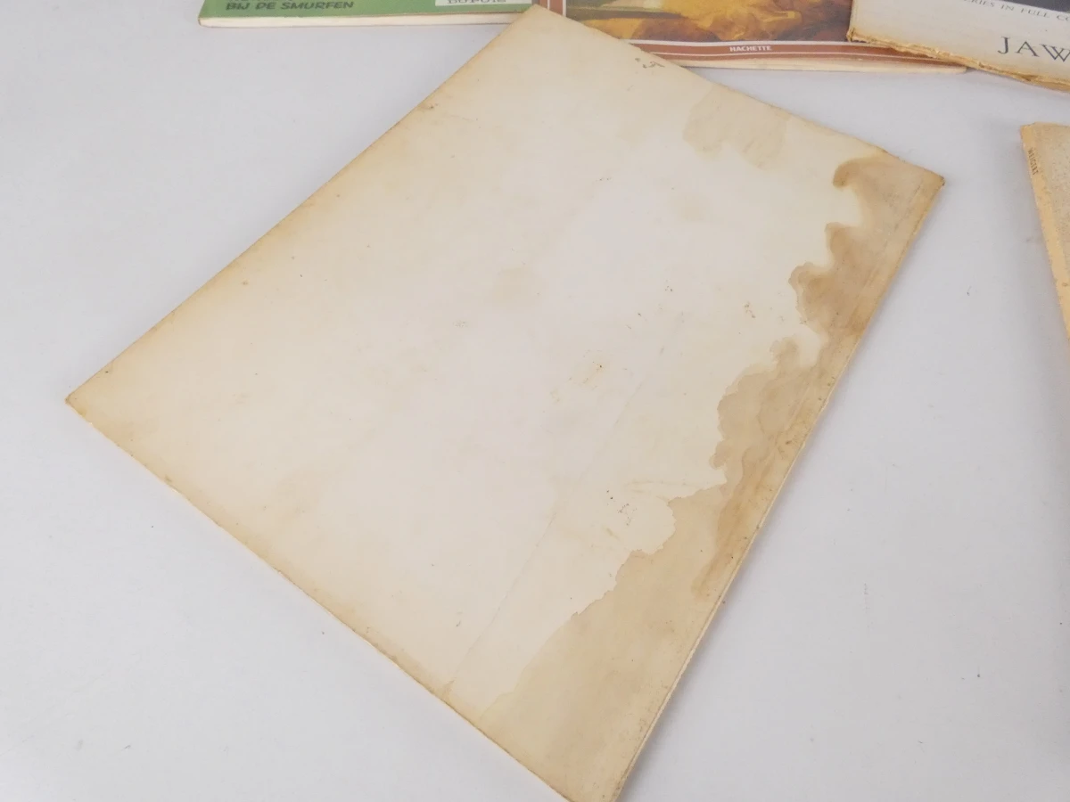 Partij Vintage Kunstmagazines – "Chefs-d'œuvre de l'art" (Hachette) - foto 14