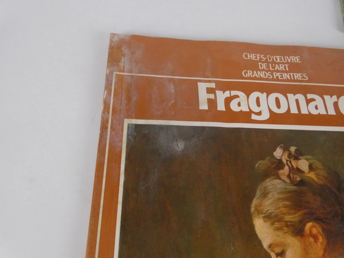 Partij Vintage Kunstmagazines – "Chefs-d'œuvre de l'art" (Hachette) - foto 19