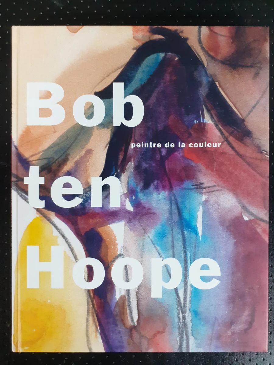 Boek: Duo van Bob Ten Hoope kunstboeken - foto 2