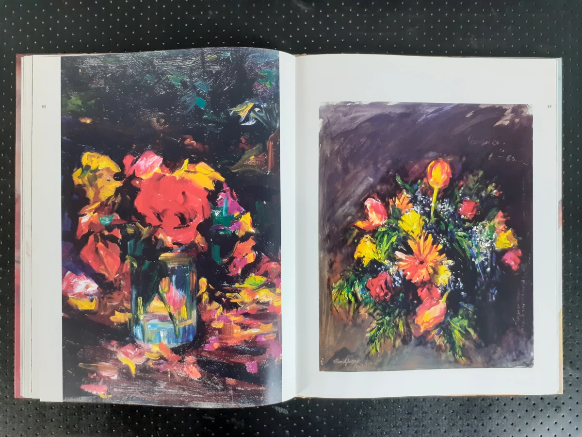 Boek: Duo van Bob Ten Hoope kunstboeken - foto 6