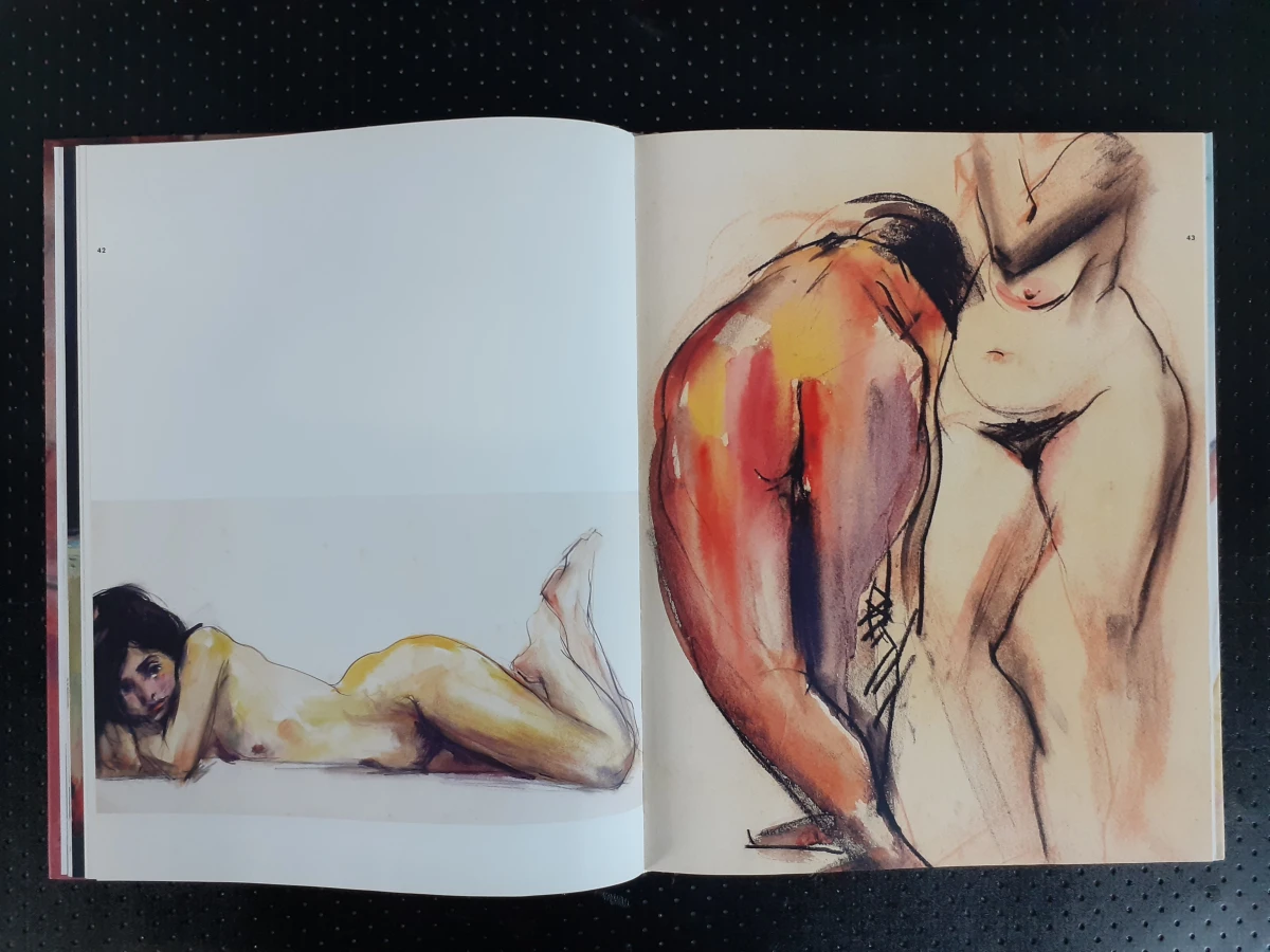 Boek: Duo van Bob Ten Hoope kunstboeken - foto 4