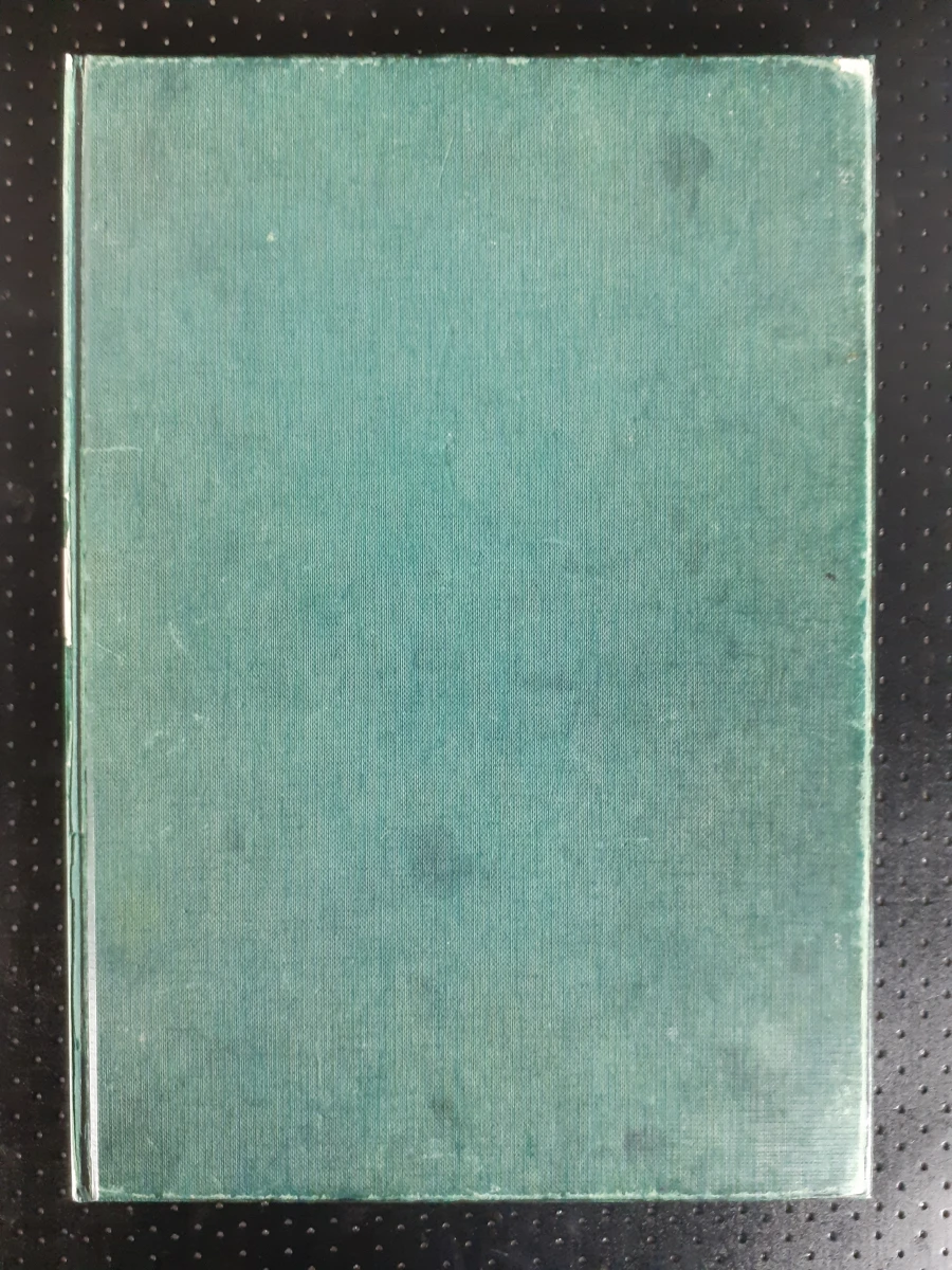 Boek: Duo van Bob Ten Hoope kunstboeken - foto 9