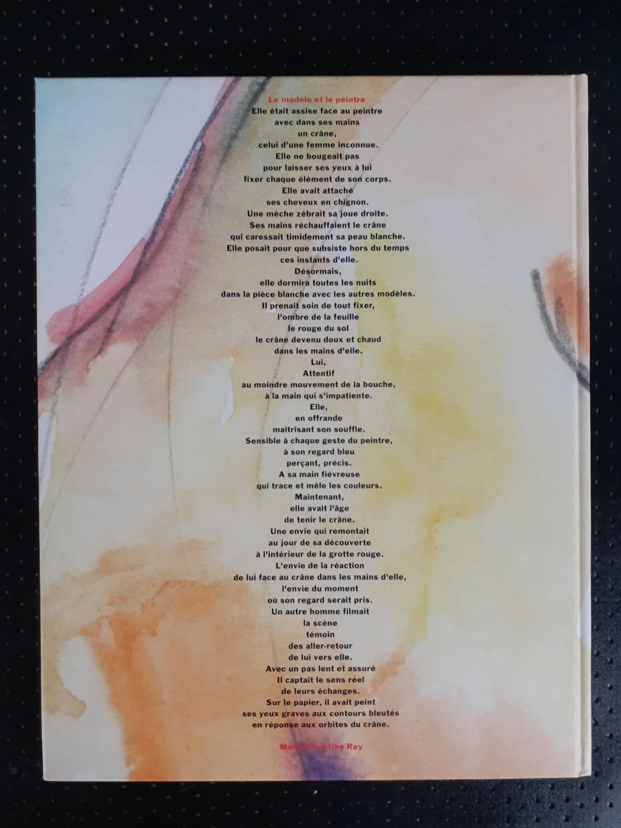 Boek: Duo van Bob Ten Hoope kunstboeken - foto 8