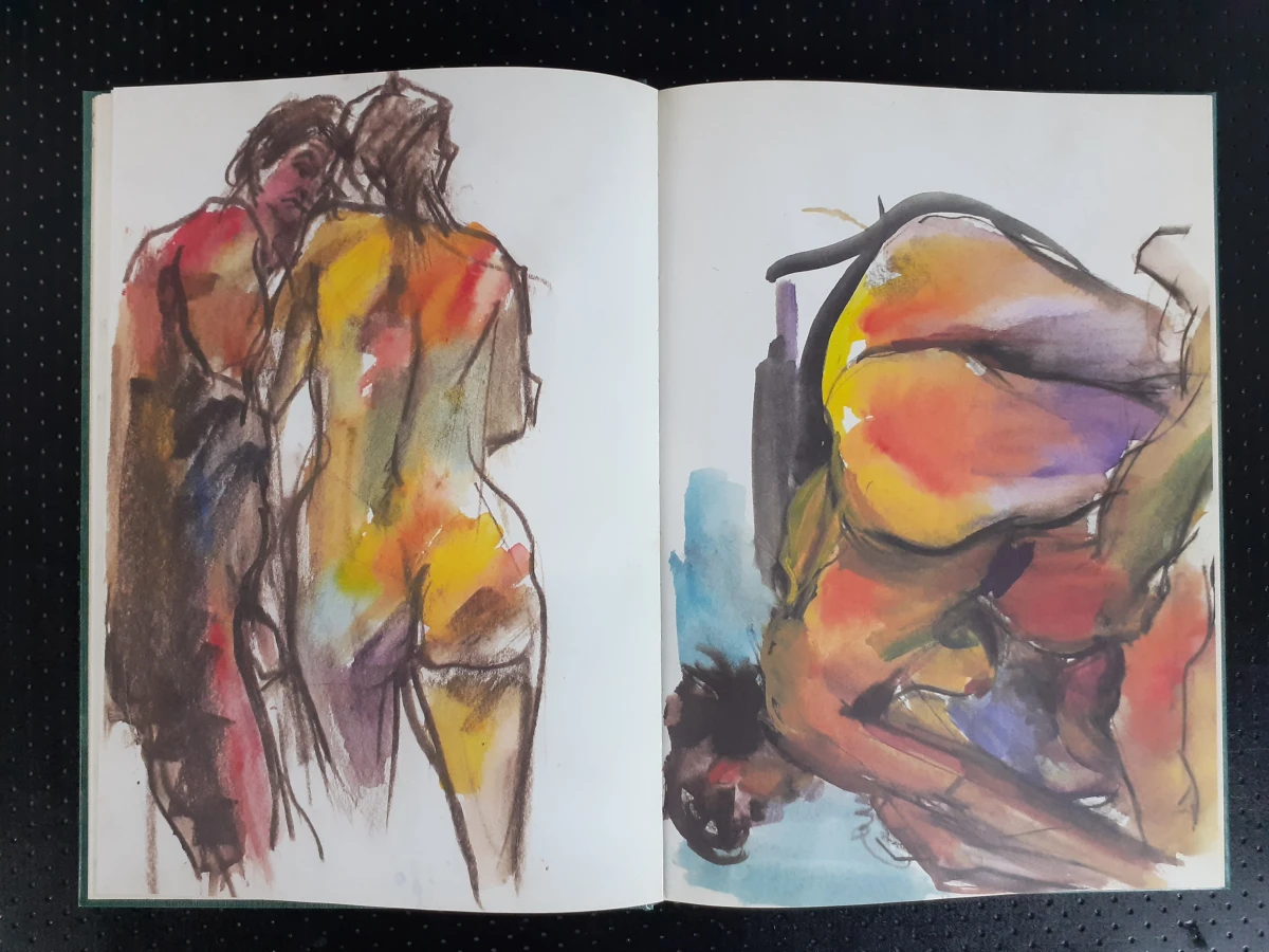 Boek: Duo van Bob Ten Hoope kunstboeken - foto 12