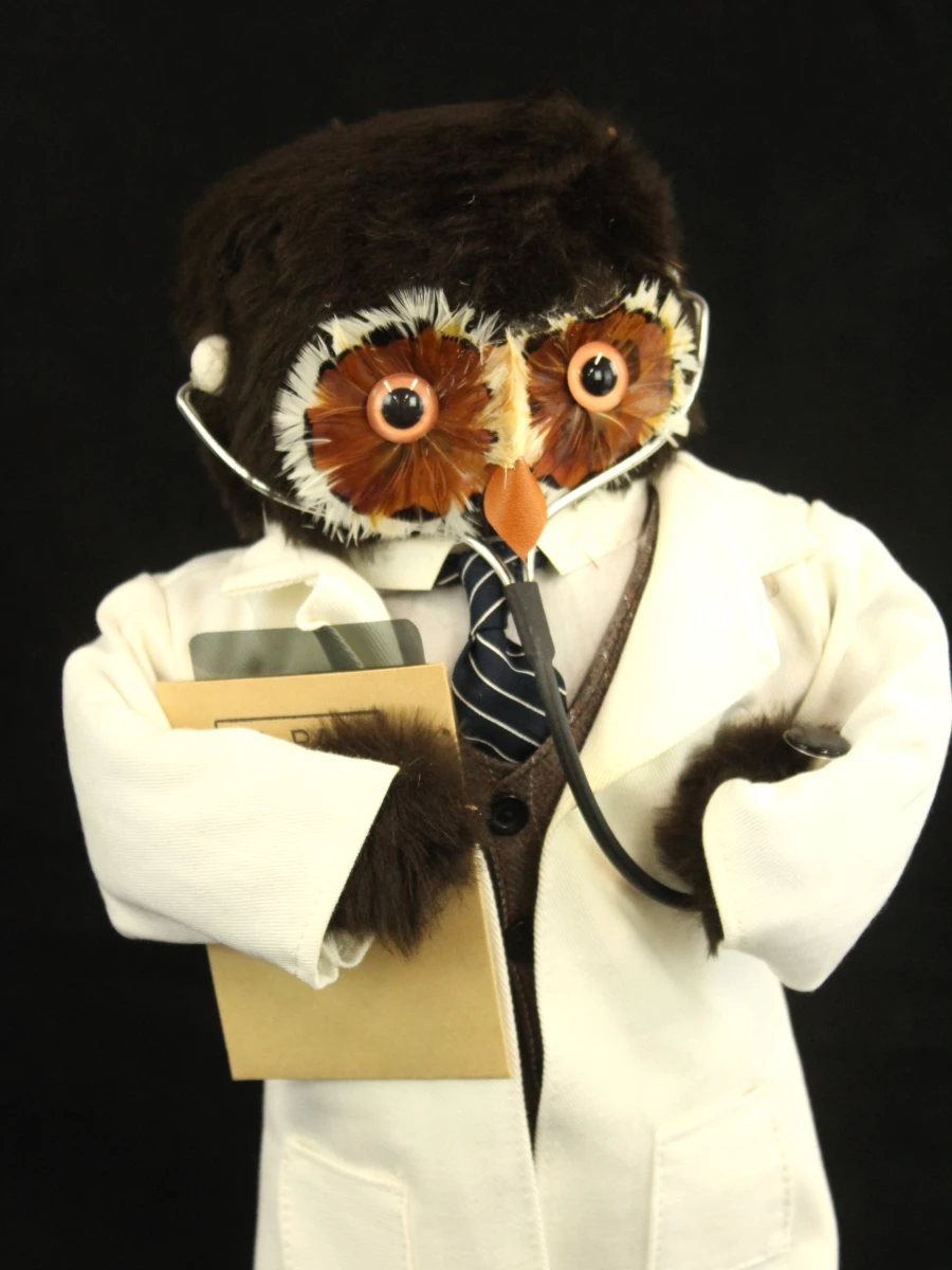 “The Doctor” vintage uil pop van The London Owl Company - foto 6