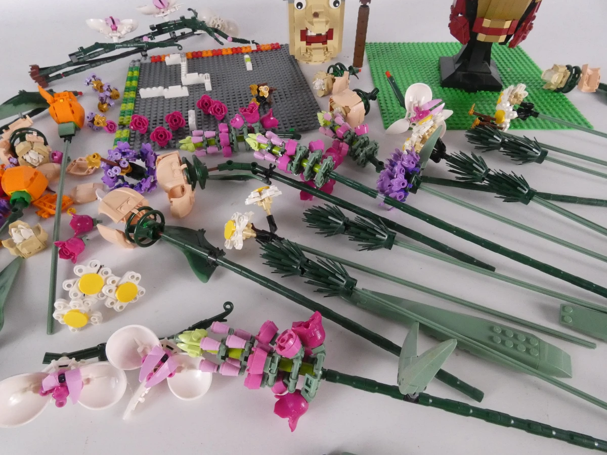 LEGO Lot Botanisch, Marvel & Meer - foto 2