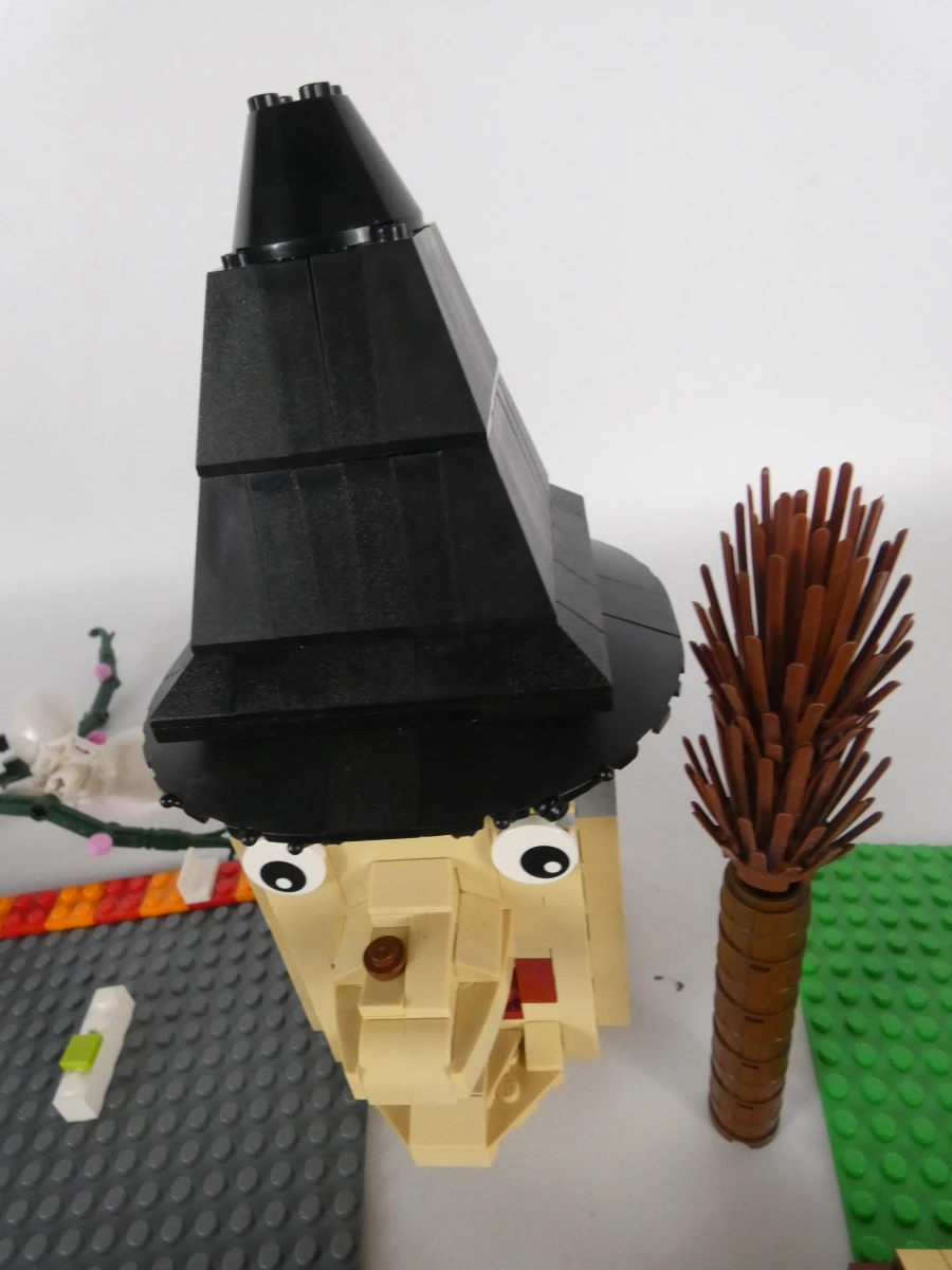 LEGO Lot Botanisch, Marvel & Meer - foto 5