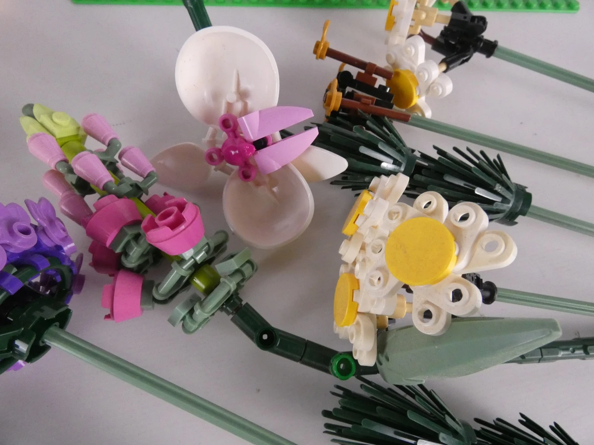 LEGO Lot Botanisch, Marvel & Meer - foto 10