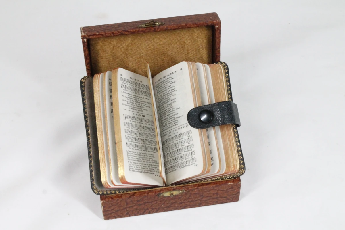 Antiek psalmen- en gezangenboekje - foto 2