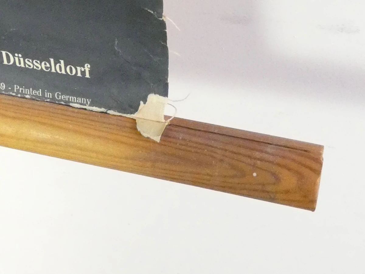 Vintage schoolplaat paardenbloem met houten latten - foto 10