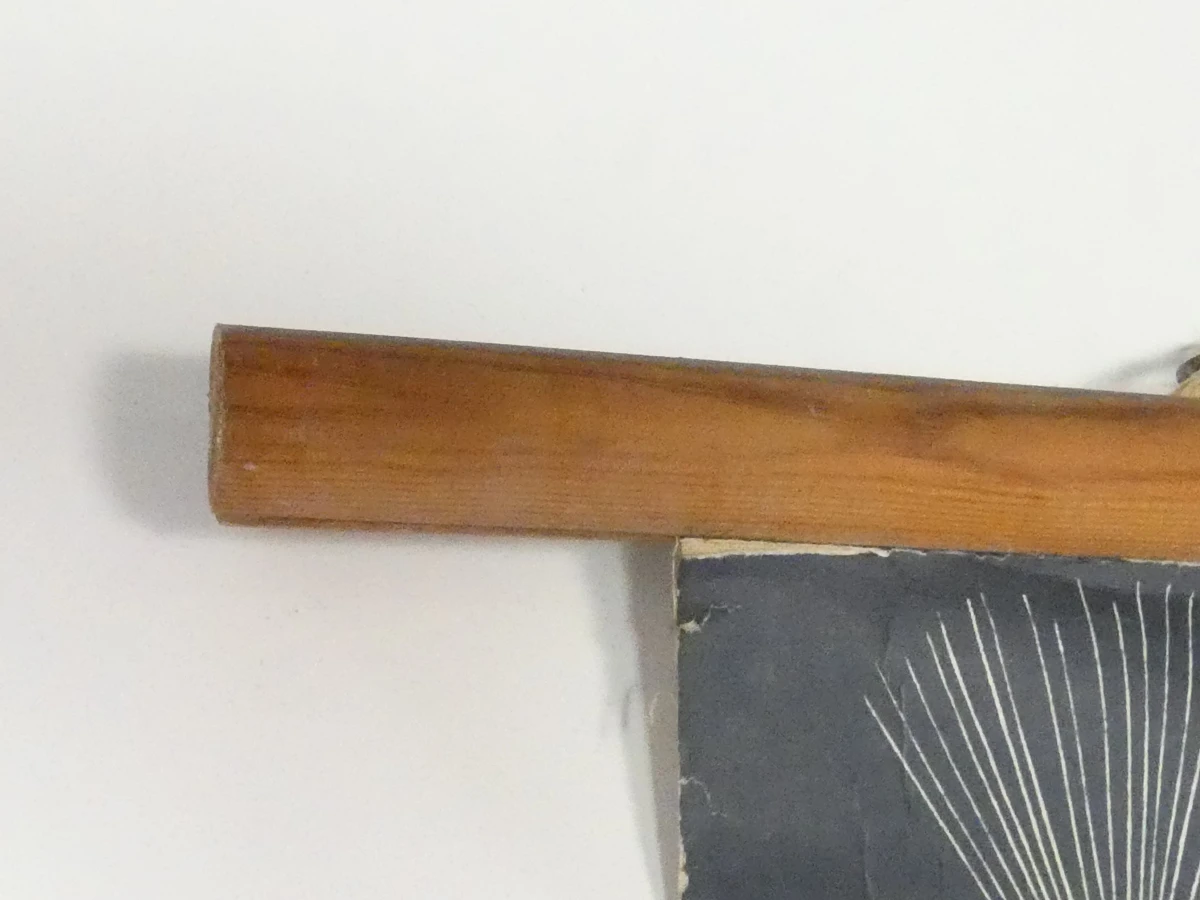 Vintage schoolplaat paardenbloem met houten latten - foto 12