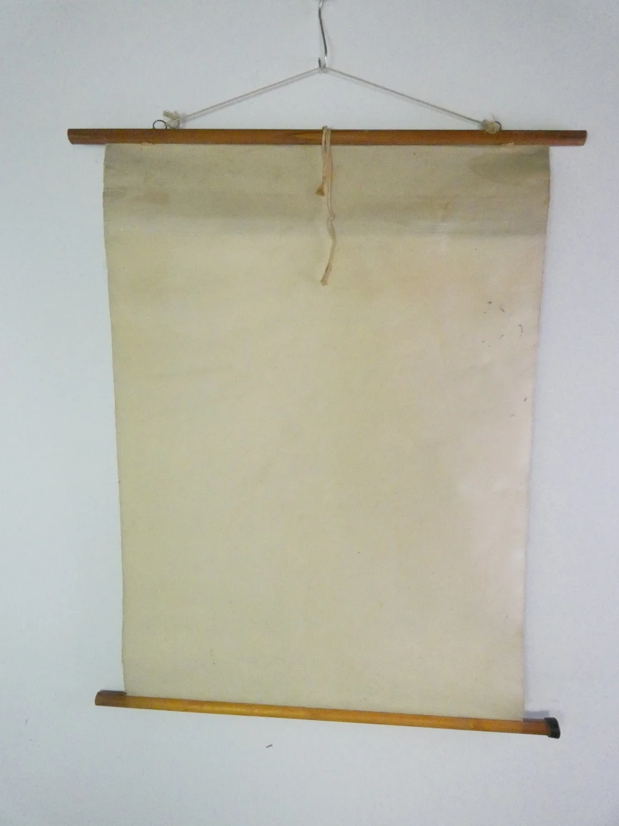Vintage schoolplaat paardenbloem met houten latten - foto 13