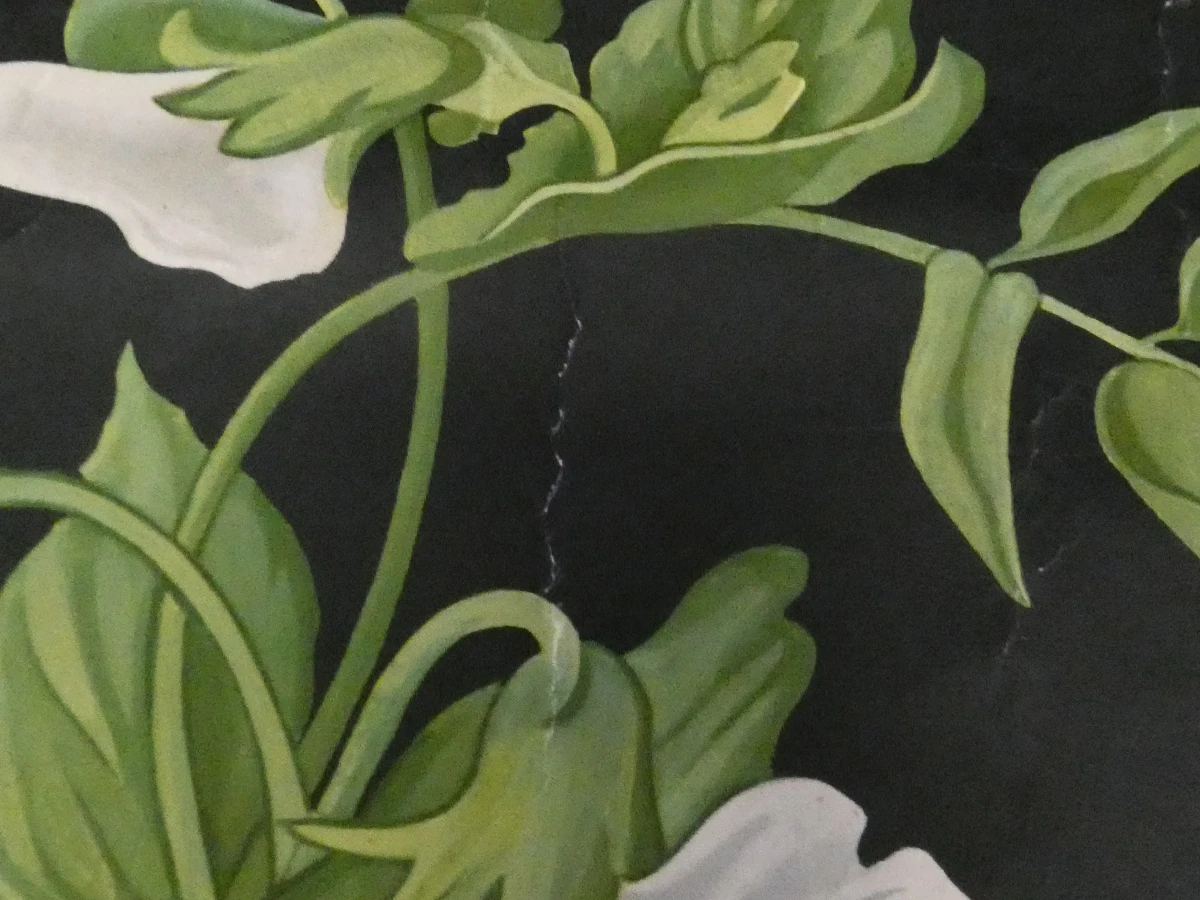 Vintage schoolplaat erwtenplant botanische tekening - foto 9
