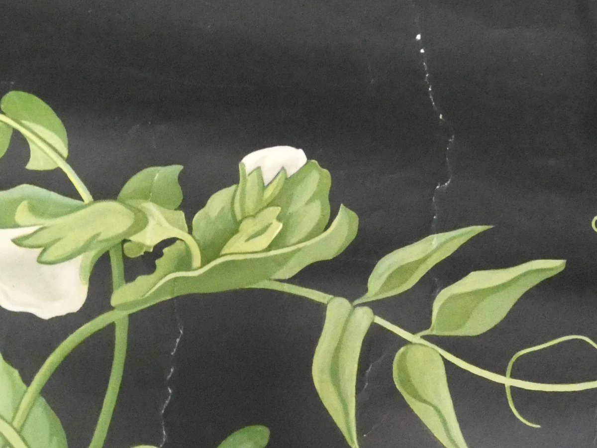 Vintage schoolplaat erwtenplant botanische tekening - foto 10