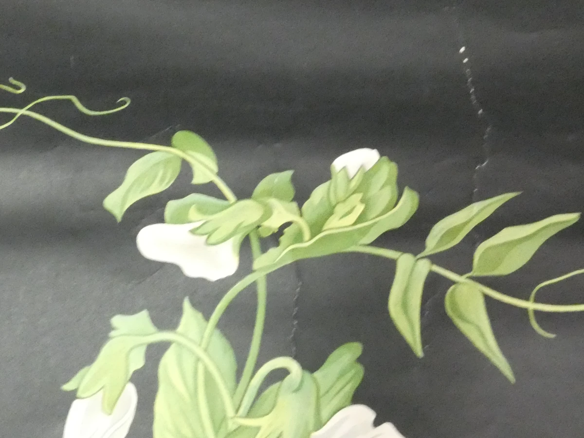 Vintage schoolplaat erwtenplant botanische tekening - foto 11