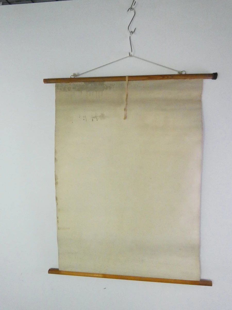 Vintage schoolplaat erwtenplant botanische tekening - foto 14