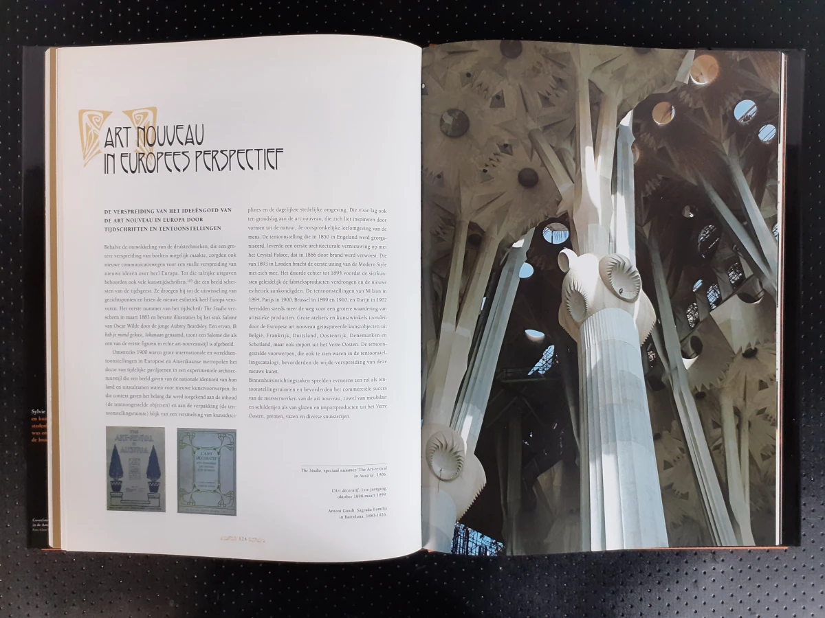 Boek: Art Nouveau in Europa - foto 5