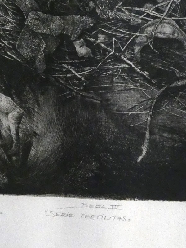 Ets getiteld: Loftriptiek van bloesems en zaden - foto 4