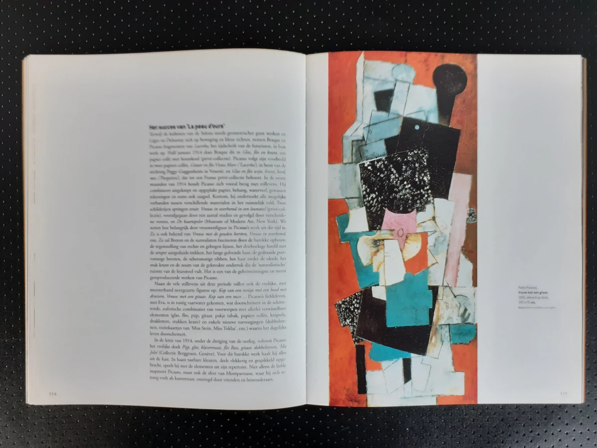 Boek: Kubisme - foto 5